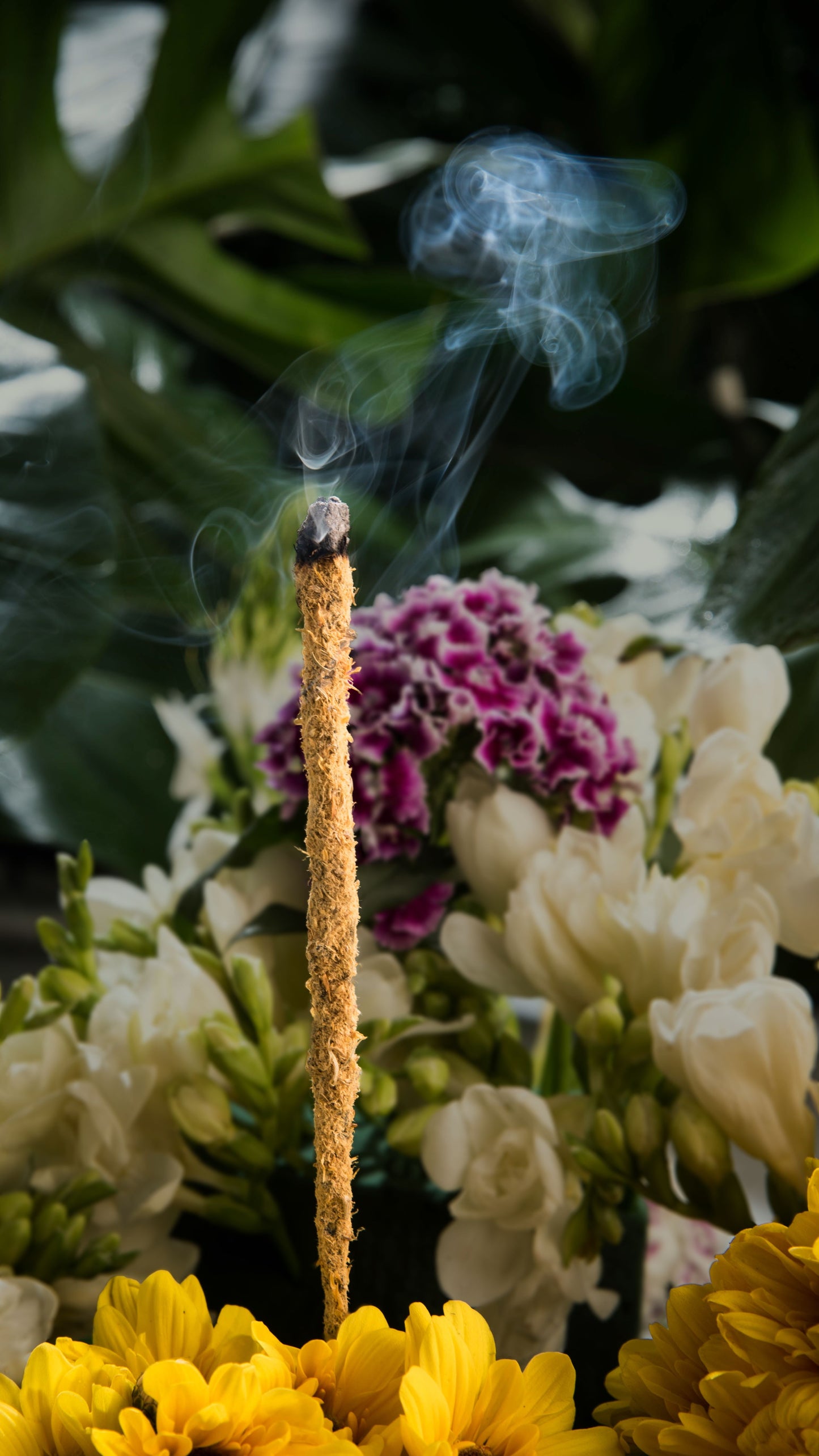 Incenso Sagrada Madre Botânico Gardénias e Calêndula