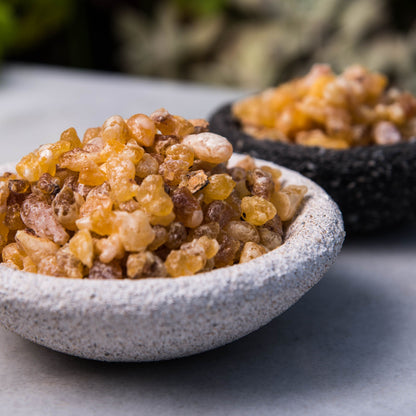 Pastilhas de Incenso em Resina X4 - Frankincense