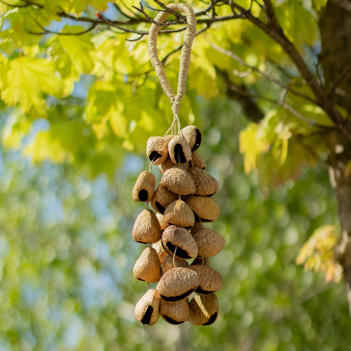 Chocalho Longo de Conchas Kenari (50 conchas)